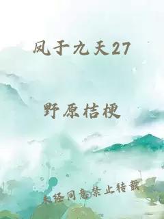 凤于九天27