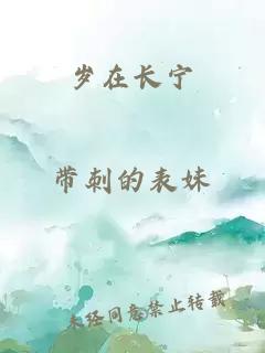 岁在长宁