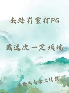 去处罚室打PG