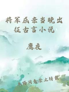 将军成亲当晚出征古言小说