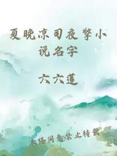 夏晚凉司夜擎小说名字