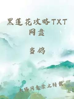 黑莲花攻略TXT网盘