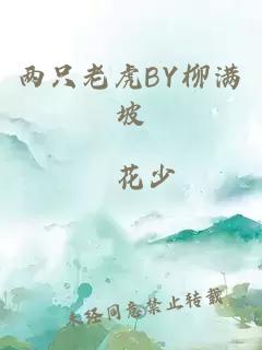 两只老虎BY柳满坡