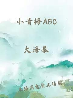 小青梅ABO