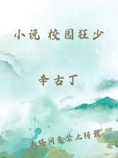 小说 校园狂少