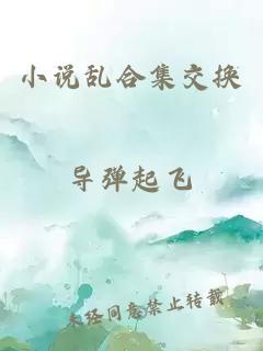 小说乱合集交换