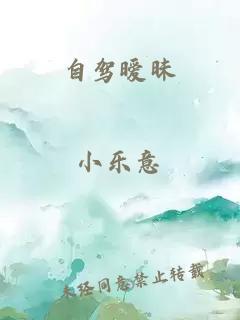 自驾暧昧