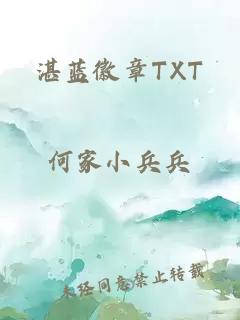 湛蓝徽章TXT