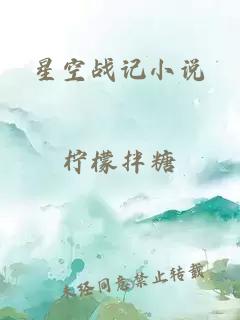 星空战记小说