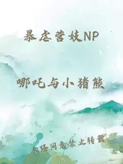 暴虐营妓NP