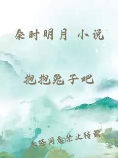 秦时明月 小说