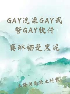 GAY洗澡GAY武警GAY软件