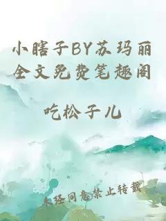 小瞎子BY苏玛丽全文免费笔趣阁