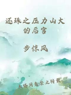 还珠之压力山大的后宫