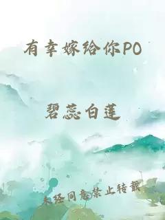 有幸嫁给你PO