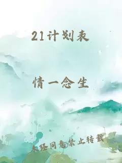 21计划表