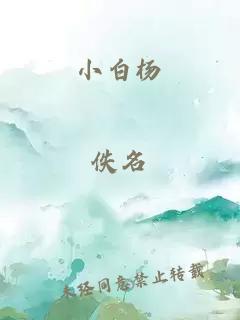 小白杨