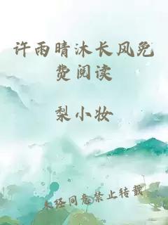 许雨晴沐长风免费阅读