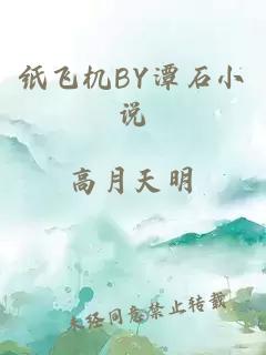 纸飞机BY潭石小说