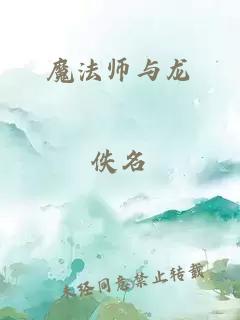 魔法师与龙