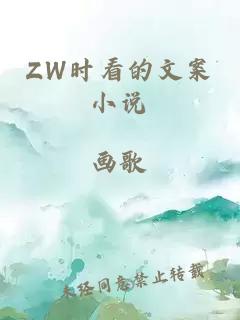 ZW时看的文案小说