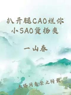 扒开腿CAO烂你小SAO货杨爽