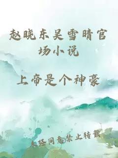 赵晓东吴雪晴官场小说