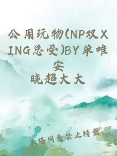 公用玩物(NP双XING总受)BY单唯安