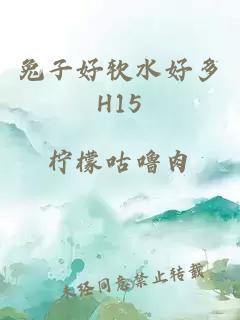 兔子好软水好多H15