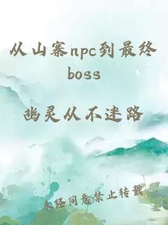 从山寨npc到最终boss