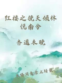 红楼之挽天倾林悦南兮