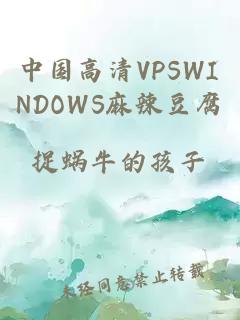 中国高清VPSWINDOWS麻辣豆腐