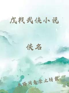 戊戟武侠小说