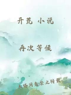 开荒 小说