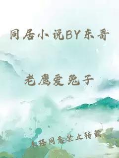 同居小说BY东哥