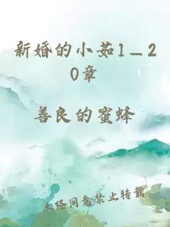 新婚的小茹1—20章