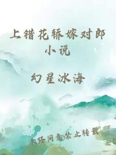 上错花轿嫁对郎小说