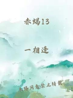 赤蝎13