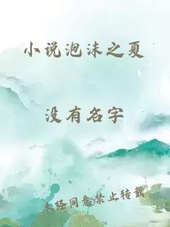 小说泡沫之夏