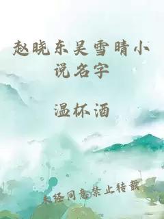 赵晓东吴雪晴小说名字