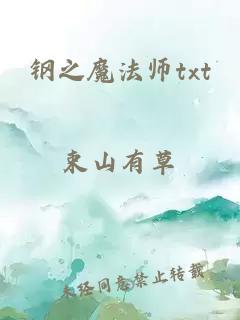 钢之魔法师txt