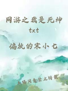 网游之我是死神txt