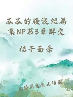 苏苏的骚浪短篇集NP第3章群交