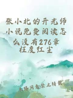 张小北的开光师小说免费阅读怎么没有276章