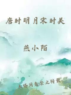 唐时明月宋时关