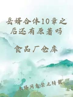 岳婿合体10章之后还有原著吗