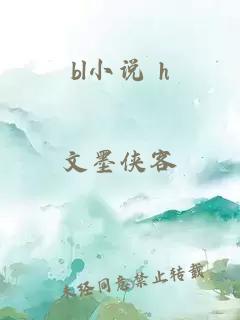 bl小说 h