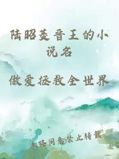 陆昭菱晋王的小说名