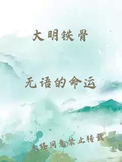 大明铁骨