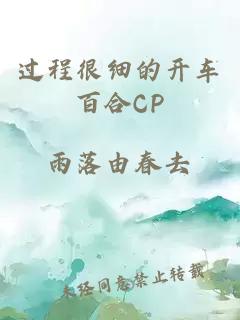 过程很细的开车百合CP